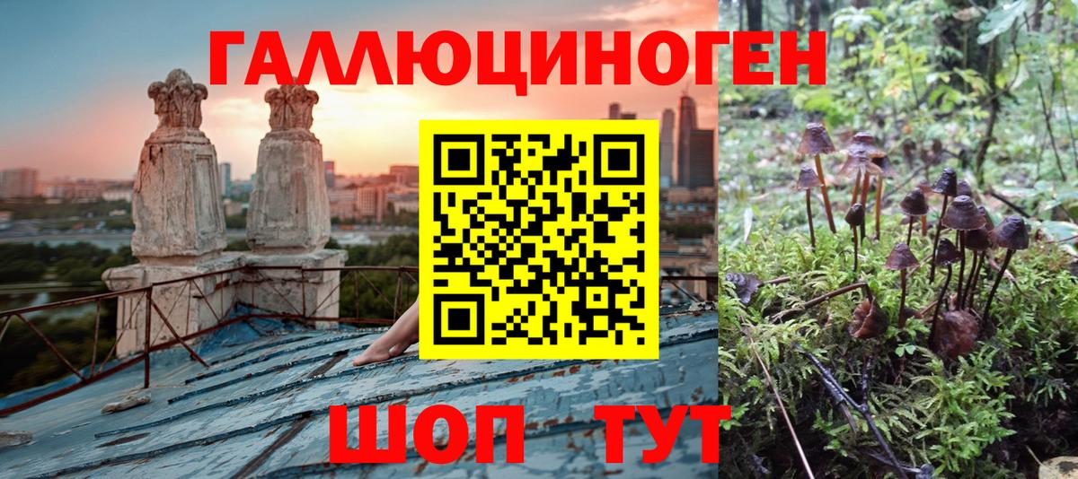 Звенигород  Галлюциногенные грибы прущие грибы  Вход с VPN 