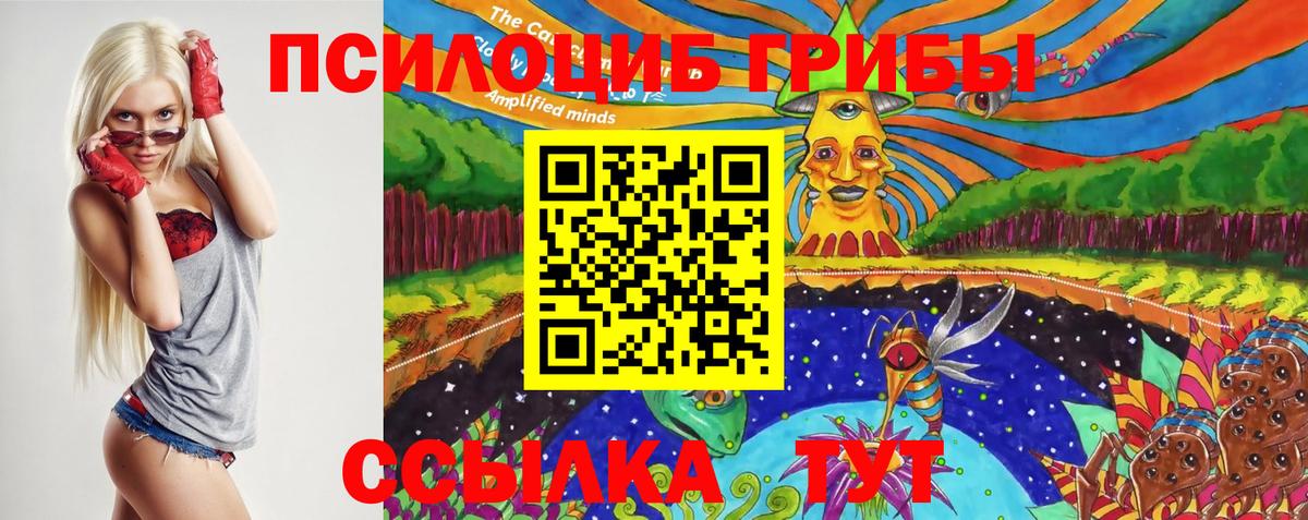 Псилоцибиновые грибы MAGIC MUSHROOMS Звенигород
